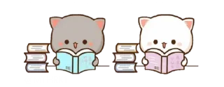 📚
