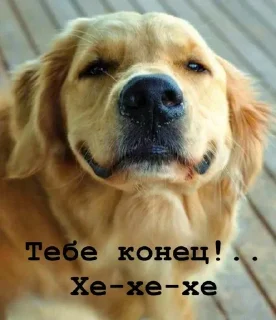😊