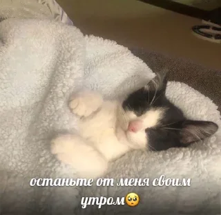 🤍