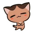 🐱