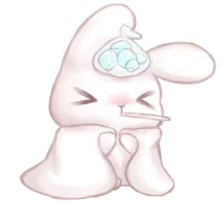 🐰