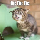 😝
