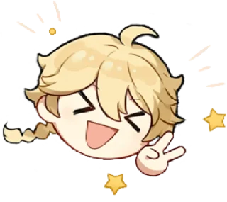 🌟