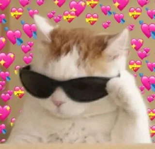 😎