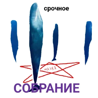 🐳