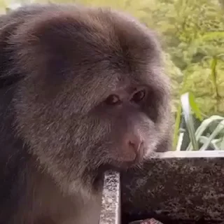 😞