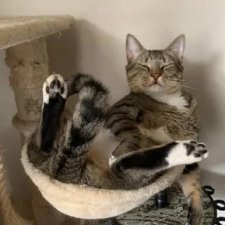 💕