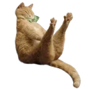😎