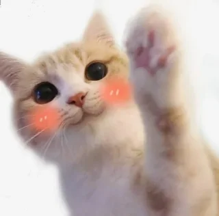 ☺️