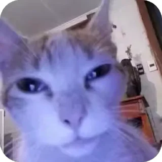 😐