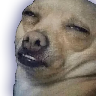 😏