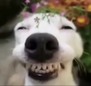 😁