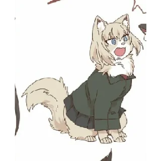 🐈