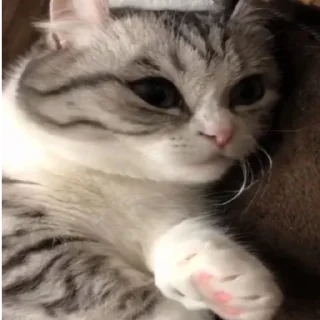 🥰