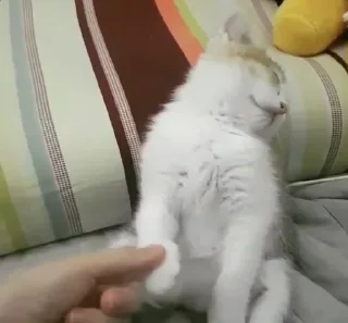 😉