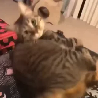 🧶