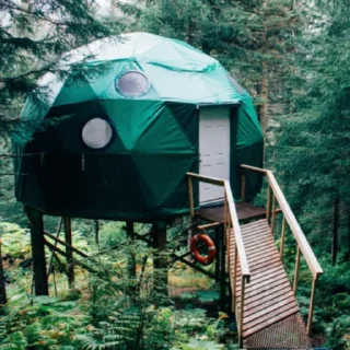 🏕️