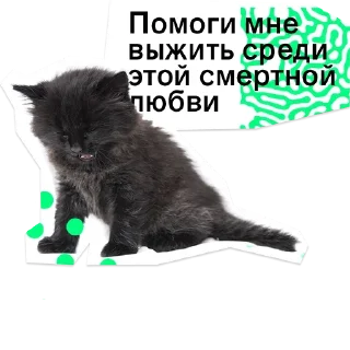 😧