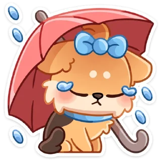 ☔️