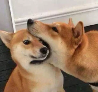 💓