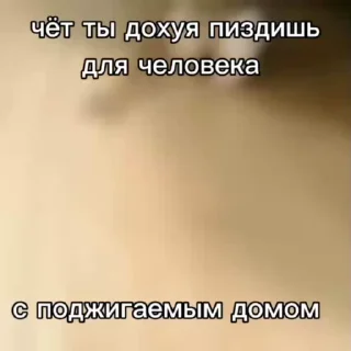 🐱