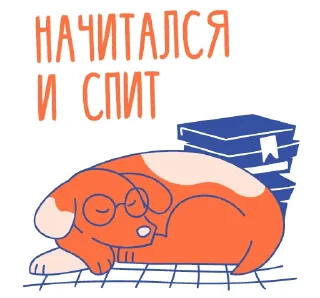 😴
