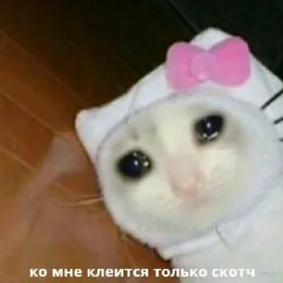 😢