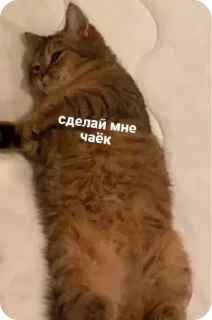 ☕️