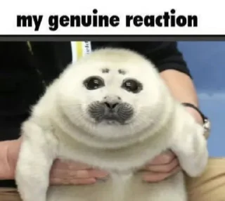 🥺