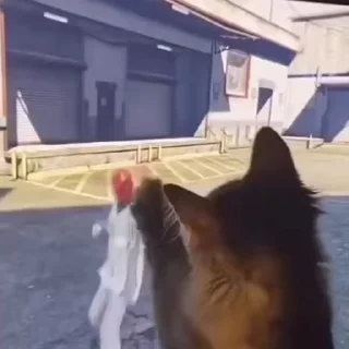 🥊