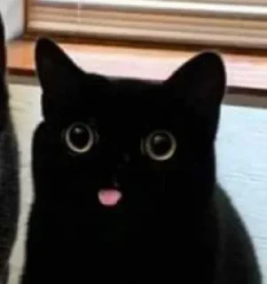 😝