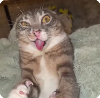 😜
