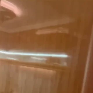🙀