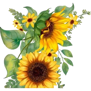 🌻