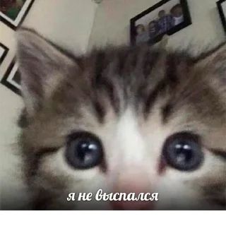 🥱