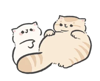 🐱