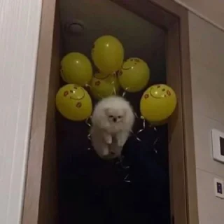 🎈