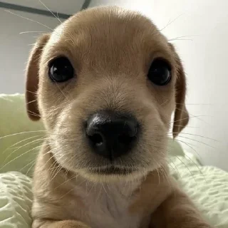 😶