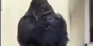 😒