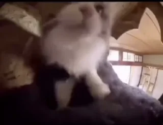 😮