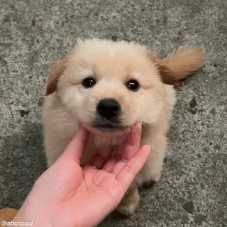 😘
