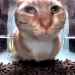 😳