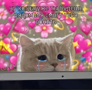 🥲