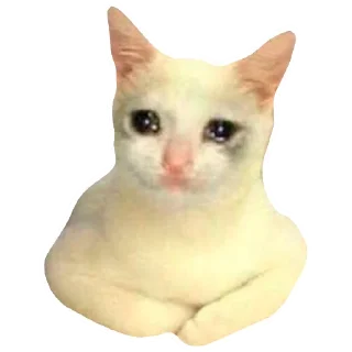 😓