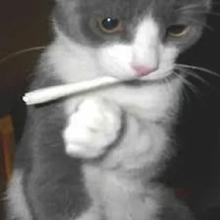 🚬