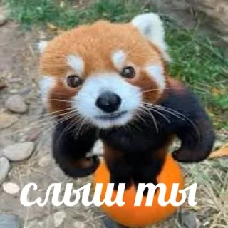 😡