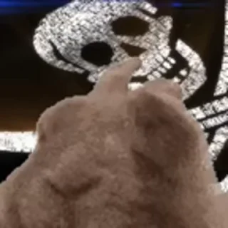 🏴‍☠️