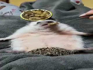 😋