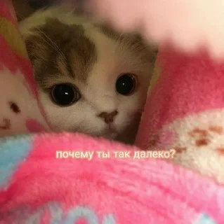 ☹️