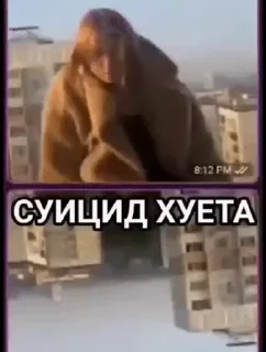🕊